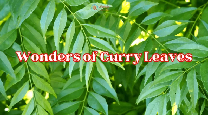 Exploring the Wonders of Curry Leaves article by Let's Redefine Lifestyle