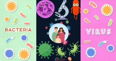 Viruses and Bacteria, A Comprehensive Guide article by Let's Redefine Lifestyle