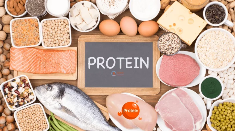 Protein 101: Everything You Need to Know About This Vital Nutrient Article by Let's Redefine Lifestyle