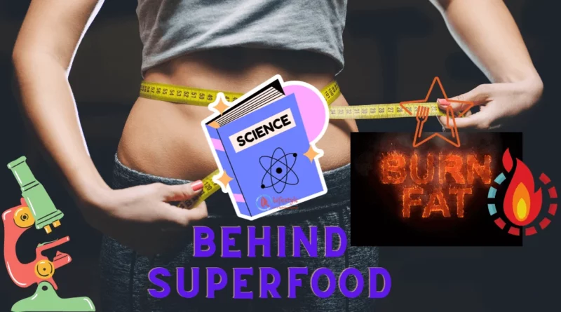 The Science Behind Fat Burning Superfoods Article by Let's Redefine Lifestyle